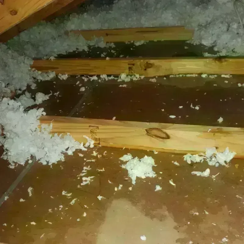 Attic Water Damage in Idylwood, VA